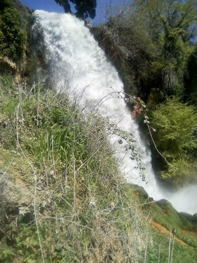 דירות Aridaía Alexandros מראה חיצוני תמונה